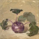 Print Kohlrabi