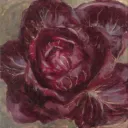 Print Red Chicory