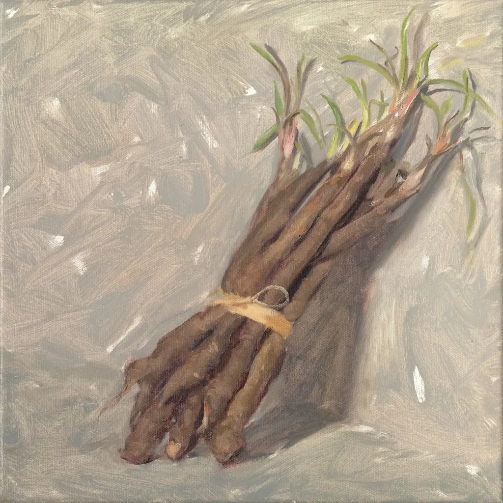 Print Salsify