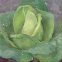 Print Pointed Cabbageskool